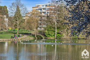 Photo 7- click for photo gallery